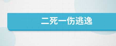 二死一伤逃逸