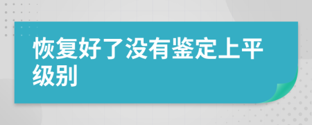 恢复好了没有鉴定上平级别