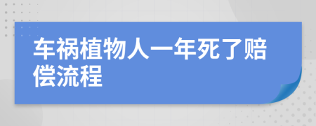 车祸植物人一年死了赔偿流程