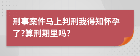 刑事案件马上判刑我得知怀孕了?算刑期里吗?