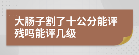 大肠子割了十公分能评残吗能评几级