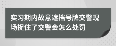 实习期内故意遮挡号牌交警现场捉住了交警会怎么处罚