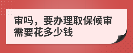 审吗，要办理取保候审需要花多少钱