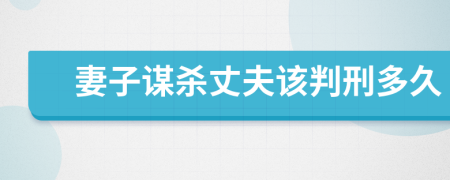妻子谋杀丈夫该判刑多久