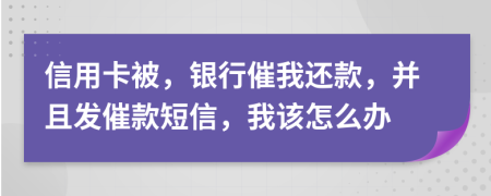 信用卡被，银行催我还款，并且发催款短信，我该怎么办