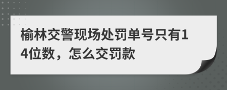 榆林交警现场处罚单号只有14位数，怎么交罚款
