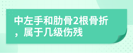 中左手和肋骨2根骨折，属于几级伤残