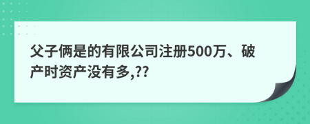 父子俩是的有限公司注册500万、破产时资产没有多,??