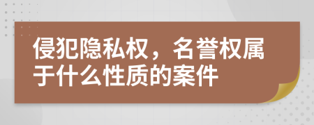 侵犯隐私权，名誉权属于什么性质的案件