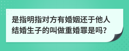 是指明指对方有婚姻还于他人结婚生子的叫做重婚罪是吗？