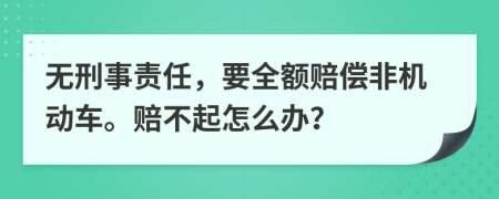 无刑事责任，要全额赔偿非机动车。赔不起怎么办？