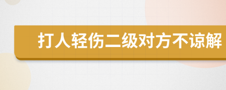 打人轻伤二级对方不谅解