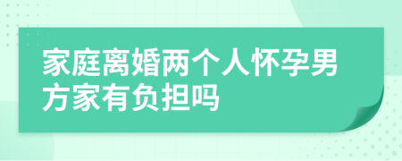 家庭离婚两个人怀孕男方家有负担吗