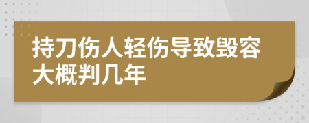 持刀伤人轻伤导致毁容大概判几年