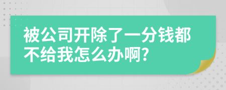 被公司开除了一分钱都不给我怎么办啊?