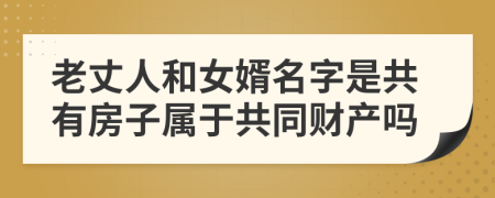 老丈人和女婿名字是共有房子属于共同财产吗