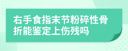 右手食指末节粉碎性骨折能鉴定上伤残吗