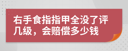 右手食指指甲全没了评几级，会赔偿多少钱