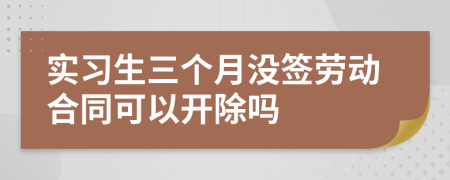 实习生三个月没签劳动合同可以开除吗