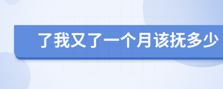 了我又了一个月该抚多少
