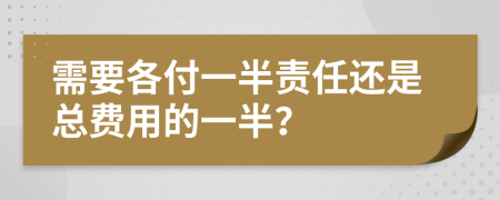 需要各付一半责任还是总费用的一半？