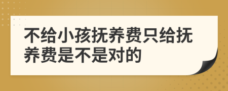 不给小孩抚养费只给抚养费是不是对的
