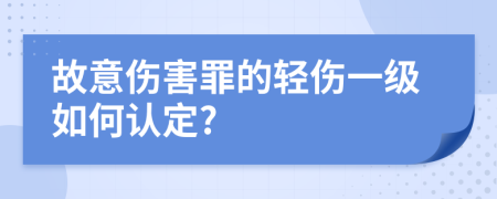 故意伤害罪的轻伤一级如何认定?