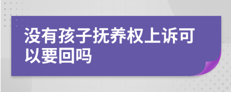 没有孩子抚养权上诉可以要回吗