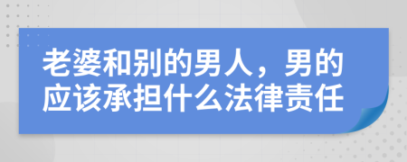 老婆和别的男人，男的应该承担什么法律责任