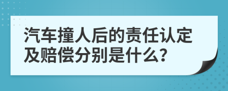 汽车撞人后的责任认定及赔偿分别是什么？