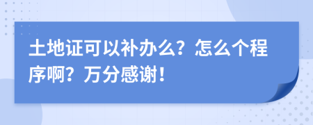 土地证可以补办么？怎么个程序啊？万分感谢！