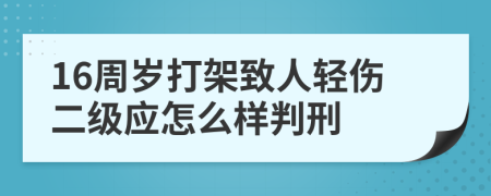 16周岁打架致人轻伤二级应怎么样判刑