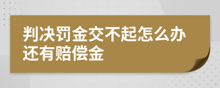 判决罚金交不起怎么办还有赔偿金
