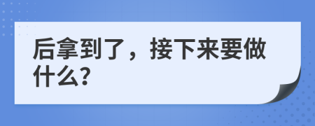 后拿到了，接下来要做什么？