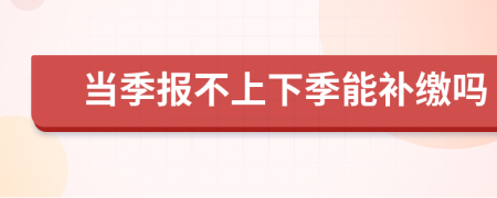 当季报不上下季能补缴吗