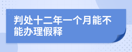 判处十二年一个月能不能办理假释