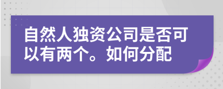 自然人独资公司是否可以有两个。如何分配