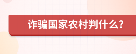 诈骗国家农村判什么?