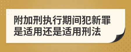 附加刑执行期间犯新罪是适用还是适用刑法