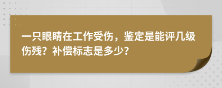 一只眼睛在工作受伤，鉴定是能评几级伤残？补偿标志是多少？