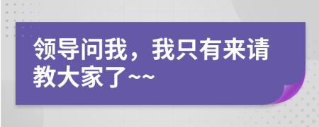 领导问我，我只有来请教大家了~~