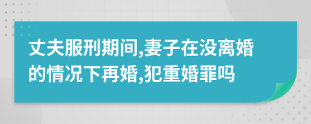 丈夫服刑期间,妻子在没离婚的情况下再婚,犯重婚罪吗