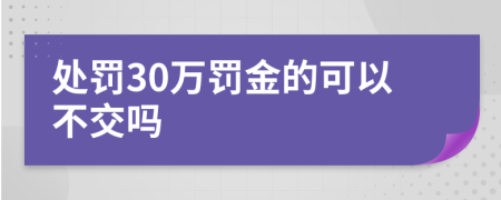 处罚30万罚金的可以不交吗