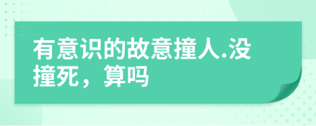 有意识的故意撞人.没撞死，算吗