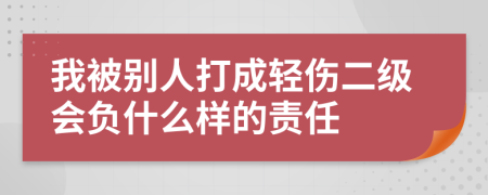 我被别人打成轻伤二级会负什么样的责任