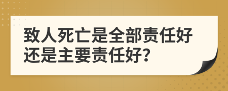 致人死亡是全部责任好还是主要责任好？