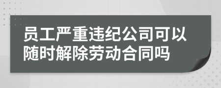 员工严重违纪公司可以随时解除劳动合同吗