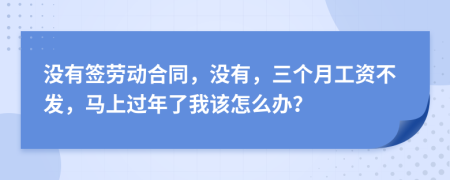 没有签劳动合同，没有，三个月工资不发，马上过年了我该怎么办？