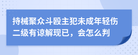 持械聚众斗殴主犯未成年轻伤二级有谅解现已，会怎么判