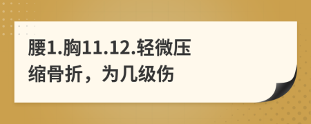 腰1.胸11.12.轻微压缩骨折，为几级伤